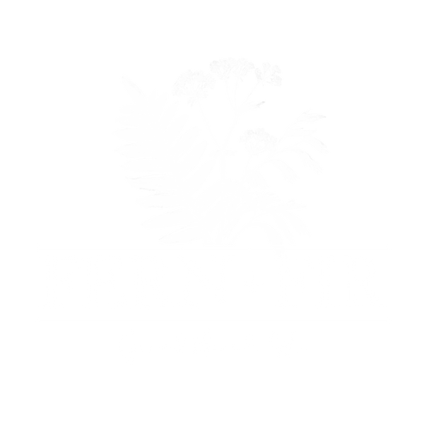 Fern & Fir